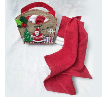 Набор из 4 полотенец для рук (30x30 см) Санта