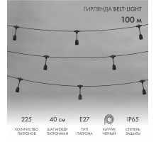 Гирлянда Супернить Belt-Light 331-231