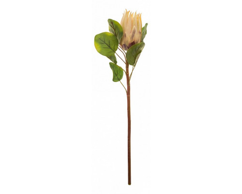 Цветок (68 см) Протея 278-118