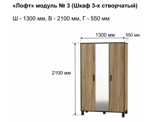 Шкаф платяной Лофт-3