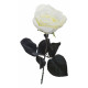 Набор из 36 цветков Роза 8J-1211S0001