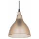 Подвесной светильник TopLight Catharine TL1658H-01AM