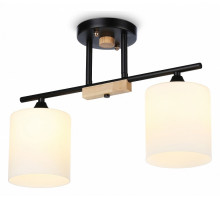 Светильник на штанге Ambrella Light TR TR9543