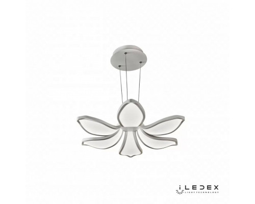 Подвесная люстра iLedex Flower 8295/6 WH