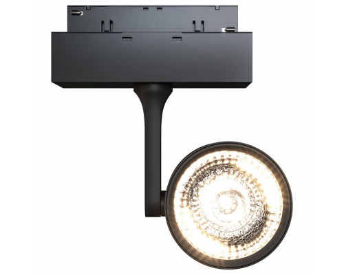 Светильник на штанге Maytoni Track lamps 3 TR024-2-10B3K