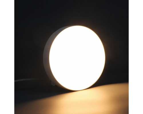 Накладной светильник iLedex Mercury 5551-24W-D160-3/4/6K-WH
