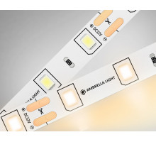 Лента светодиодная Ambrella Light GS GS1001