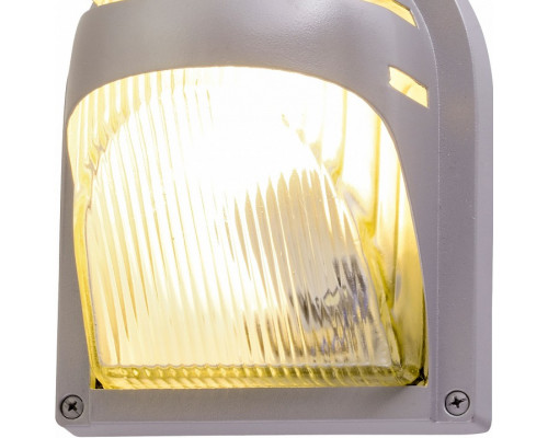 Накладной светильник Arte Lamp Urban A2802AL-1GY