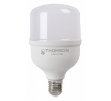 Лампа светодиодная Thomson T120 E27 40Вт 6500K TH-B2365