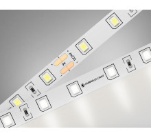 Лента светодиодная Ambrella Light GS GS3002