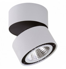 Светильник на штанге Lightstar Forte Muro LED 214830