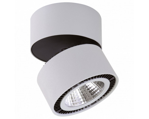 Светильник на штанге Lightstar Forte Muro LED 214830