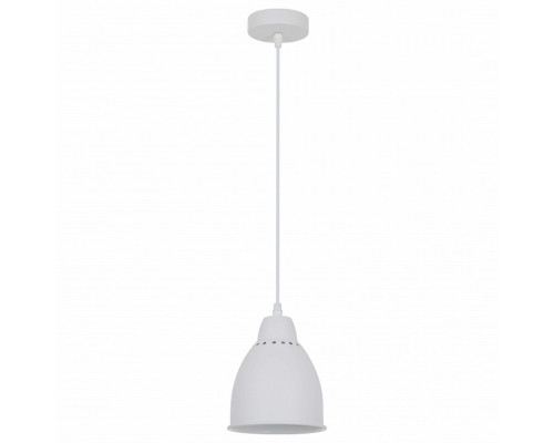 Подвесной светильник Arte Lamp Braccio A2054SP-1WH