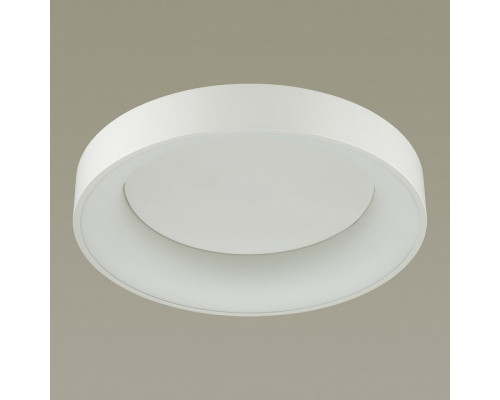 Накладной светильник Odeon Light Sole 4062/50CL