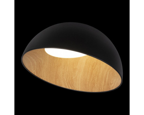 Накладной светильник Loft it Egg 10197/500 Black