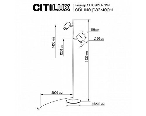Торшер Citilux Twin CL809010N