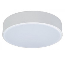 Накладной светильник Loft it Axel 1 10002/12 White