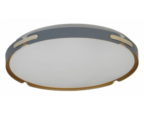 Накладной светильник LUMINA DECO Paneli LDC 8063-48W BL