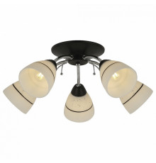 Потолочная люстра TopLight Winnifred TL1255D-05BC