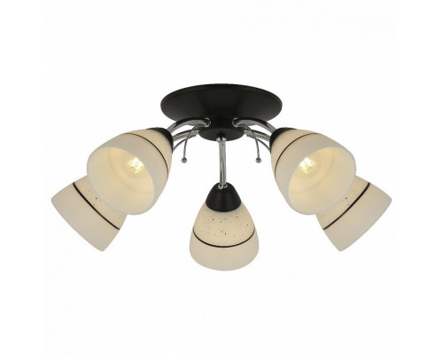 Потолочная люстра TopLight Winnifred TL1255D-05BC