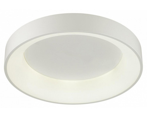 Накладной светильник Odeon Light Sole 4062/50CL