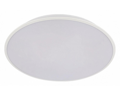 Накладной светильник Loft it Brim 10226 White