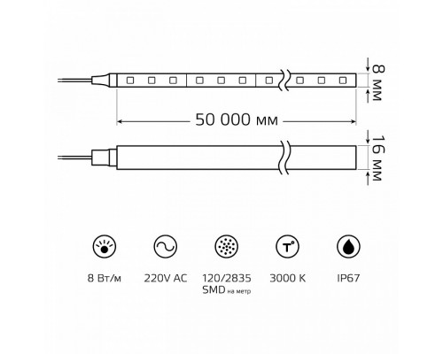 Комплект с лентой светодиодной Gauss Black NEON 220V 311000108