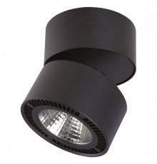 Светильник на штанге Lightstar Forte Muro LED 213837