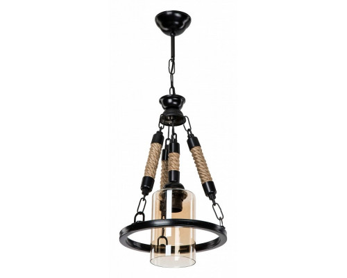 Подвесной светильник TopLight Alanna TL1645H-01BK