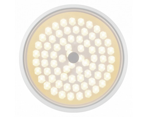 Накладной светильник Freya Cells FR10012CL-L24W