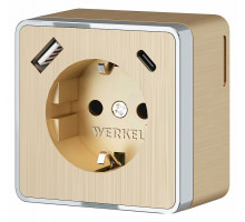 Розетка с заземлением и с шторками и USB Werkel Gallant шампань рифленый W5071710