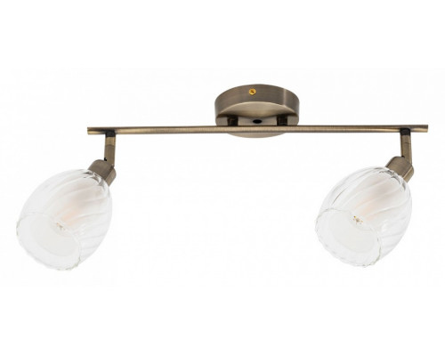 Спот Arte Lamp Biham A3184PL-2AB