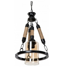 Подвесной светильник TopLight Alanna TL1645H-01BK