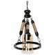 Подвесной светильник TopLight Alanna TL1645H-01BK