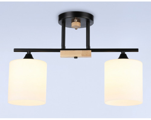 Светильник на штанге Ambrella Light TR TR9543