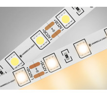 Лента светодиодная Ambrella Light GS GS2001