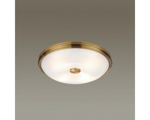 Накладной светильник Odeon Light Pelow 4956/4