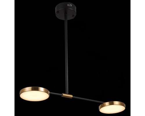 Светильник на штанге ST-Luce Farone SL1605.403.02