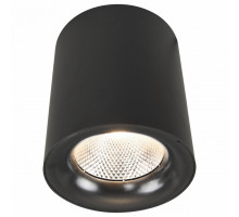 Накладной светильник Arte Lamp Facile A5118PL-1BK