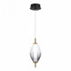 Подвесной светильник ST-Luce Ice SL6130.403.06