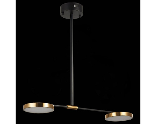 Светильник на штанге ST-Luce Farone SL1605.403.02