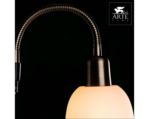 Торшер с подсветкой Arte Lamp Duetto A9569PN-2AB