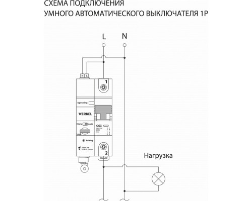 Автоматический выключатель 1P с Wi-Fi Werkel  W1001P6301