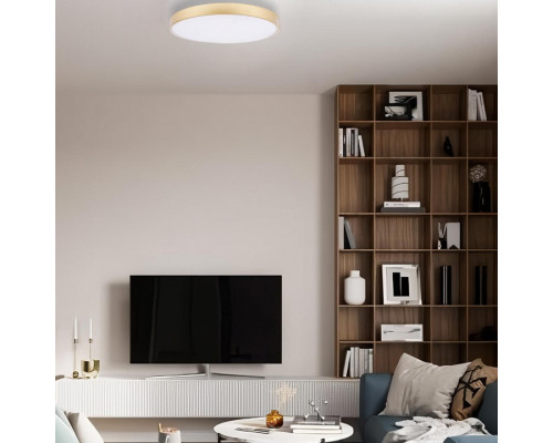 Накладной светильник Loft it Flims 10228/A