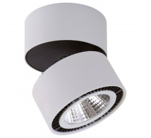 Светильник на штанге Lightstar Forte Muro LED 213830