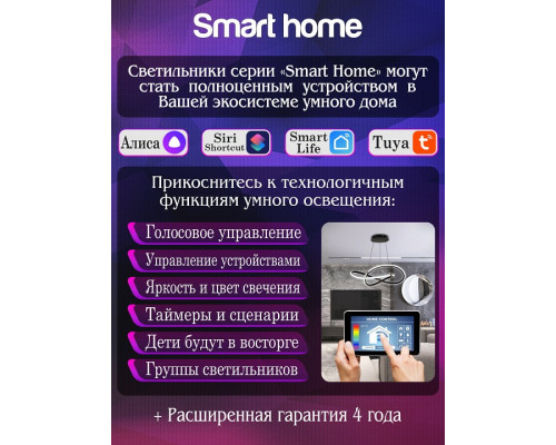 Потолочная люстра Natali Kovaltseva HOLDER LED SMART 84010