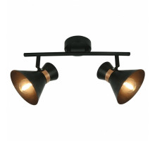 Спот Arte Lamp Baltimore A1406AP-2BK