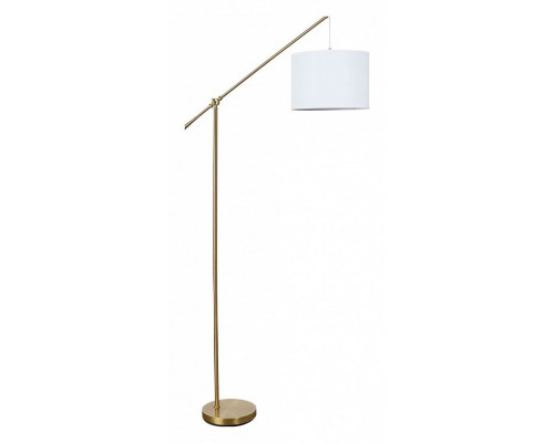 Торшер Arte Lamp Dylan A4054PN-1PB