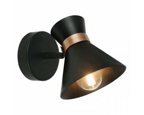 Спот Arte Lamp Baltimore A1406AP-1BK