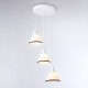 Подвесной светильник Ambrella Light TR TR3167